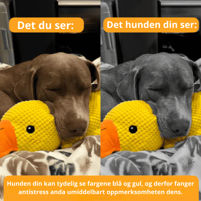 BarkDuck – Antistressanden