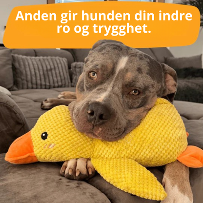 BarkDuck – Antistressanden